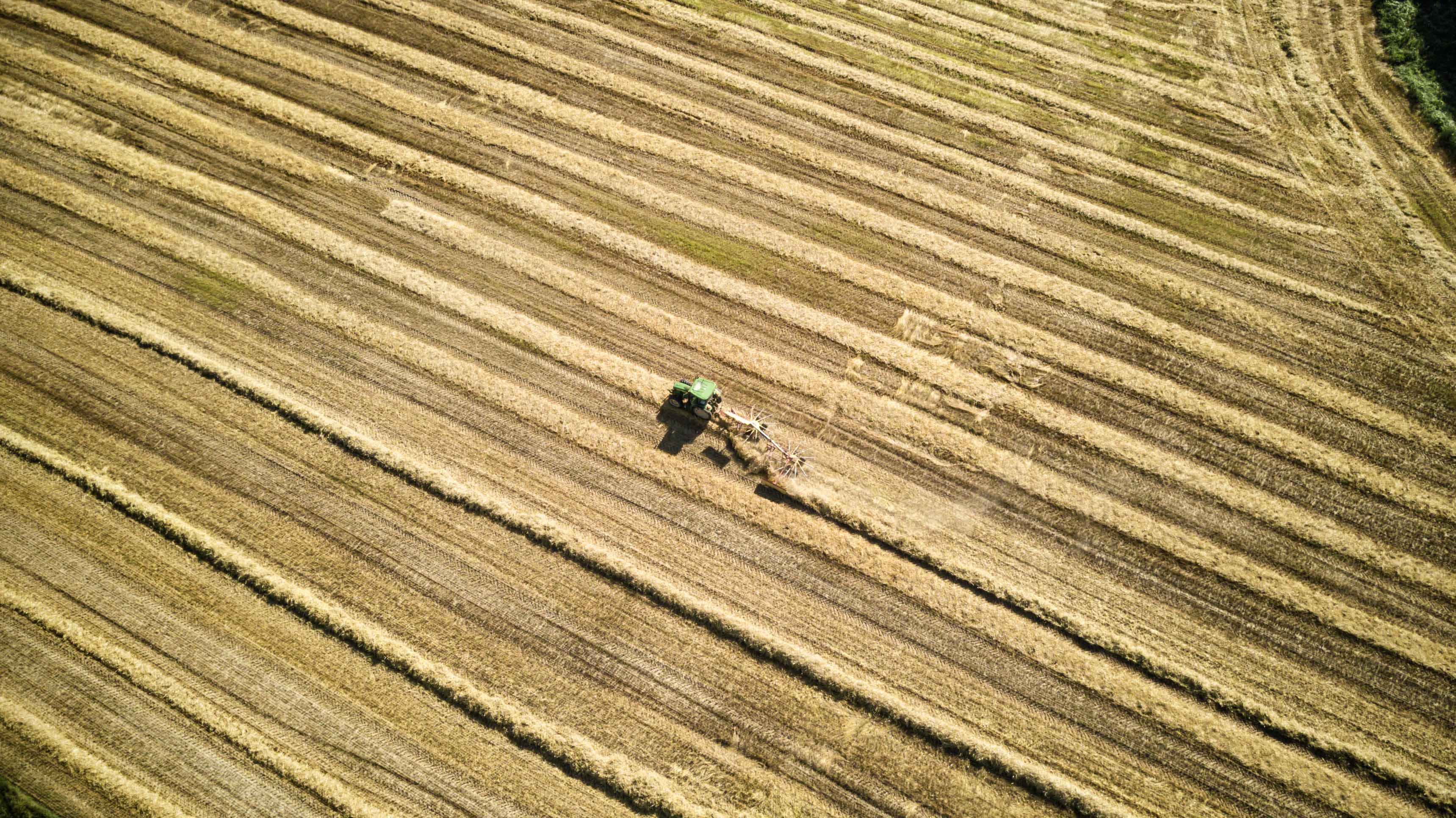 Food Industry & Agrifoodtech